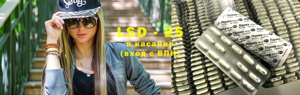 эйфоретик Заполярный