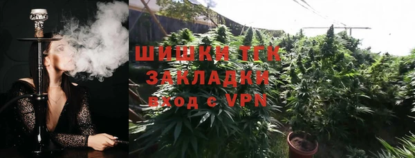 сатива Семёнов